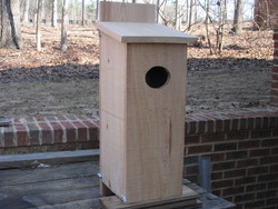Wood Duck Nesting Box will also accomodate Mergansers