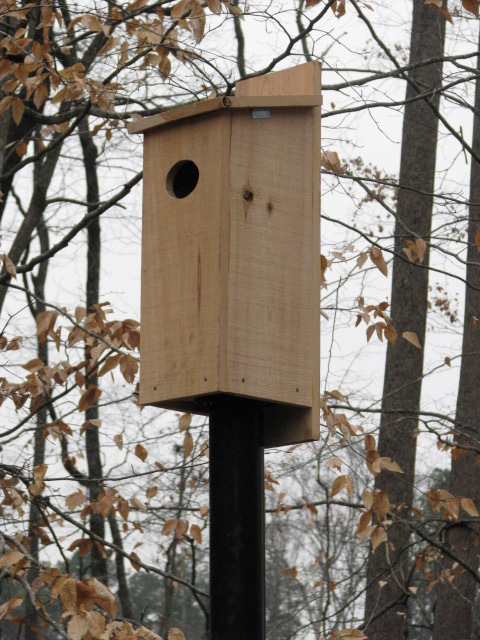 Wood Duck Nesting Box mounted on 4