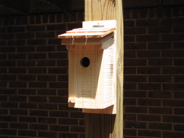 Deluxe Eastern Bluebird Box         with Cedar Shake Roof.  Made from rough sawn cypress.  Front and roof open for easy clean out and viewing.