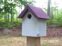 Painted Series--Fun colored house for the garden. Made of cypress with side clean out.  Easily mounts on 4x4 post.--$30.00