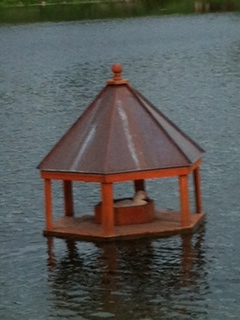 Aged Copper Roof 5' diagonal Gazebo with mother goose sitting on the nest.
Quote from client in Waco, TX-April 2012 