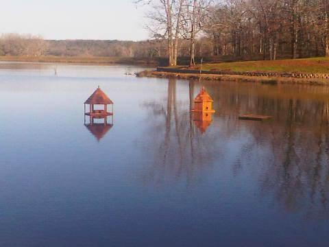 View of client's pond in Lindale, TX showing Goose Nesting Gazebo and Duck Nesting Box.  
Quote from Client on April 16, 2012 