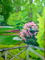 Rhododendrons in the Park II
Cashiers, NC
Oil 12X16
Plein Air and Studio